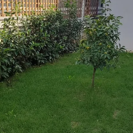 Apartamento The Kumquat Place Trikala (Thessaly)